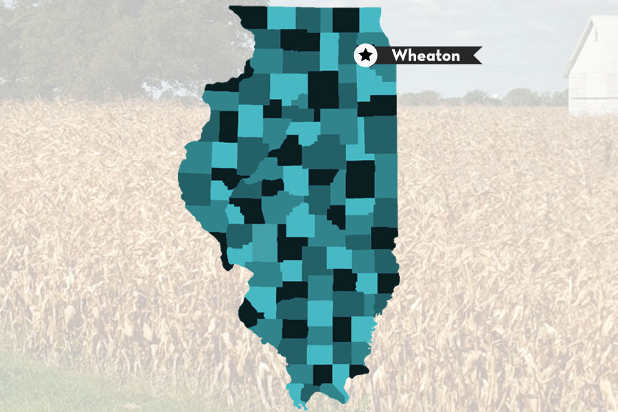 2. Wheaton